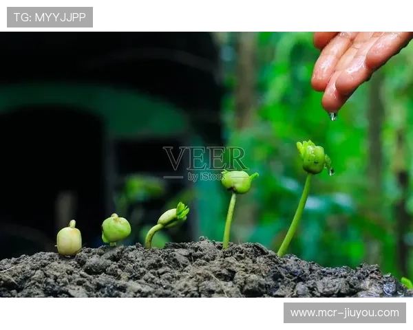 肥沃创新土壤培育 滋养赛事执行持续进化 肥沃创新土壤培育 滋养赛事执行持续进化